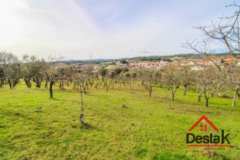 Quintinha em São Miguel do Outeiro, Tondela