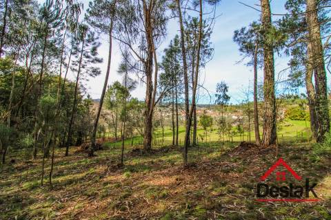 Quintinha em São Miguel do Outeiro, Tondela