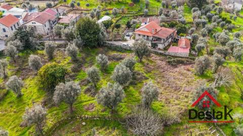 Terreno para venda em Silgueiros