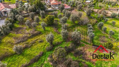 Terreno para venda em Silgueiros