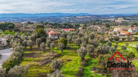 Terreno para venda em Silgueiros