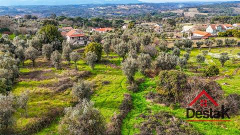 Terreno para venda em Silgueiros