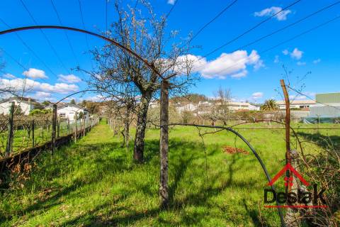 Lote terreno com 6500 m² para venda em Viseu