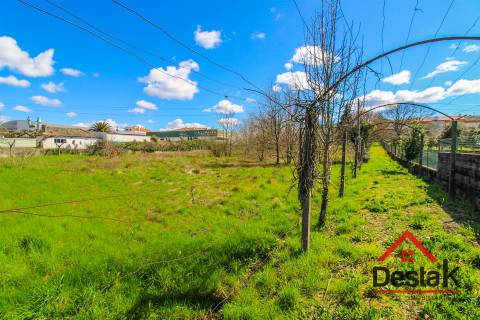 Lote terreno com 6500 m² para venda em Viseu