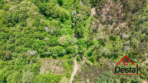 Terreno com 17.396 m² a 10 minutos de Viseu