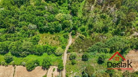 Terreno com 17.396 m² a 10 minutos de Viseu
