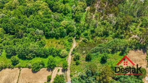 Terreno com 17.396 m² a 10 minutos de Viseu