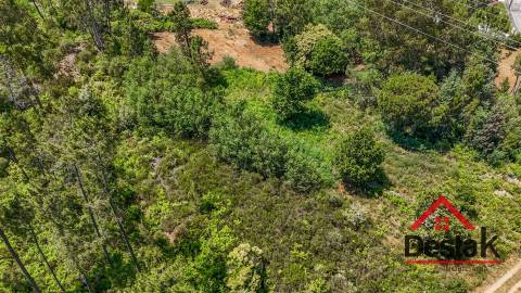 Terreno com 17.396 m² a 10 minutos de Viseu
