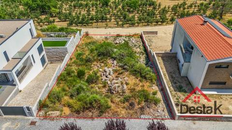 Terreno Para Construção  Venda em Aguiar da Beira e Coruche,Aguiar da Beira