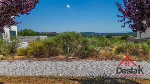 Terreno Para Construção  Venda em Aguiar da Beira e Coruche,Aguiar da Beira