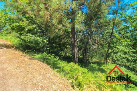 Terreno para construção à venda em Repeses, Viseu