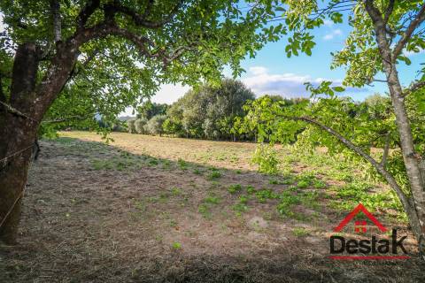Terreno para construção em Viseu