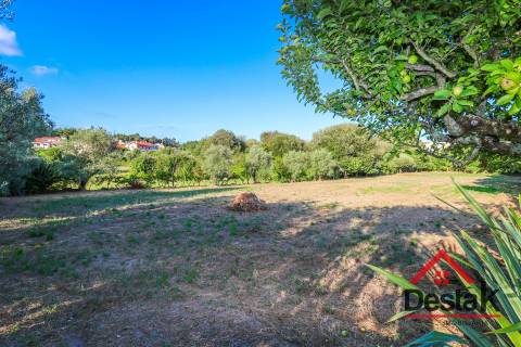 Terreno para construção em Viseu