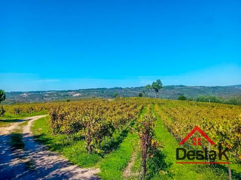 Terreno com 33.000 metros quadrados,  adjacente ao Rio Mondego no coração da Serra da Estrela