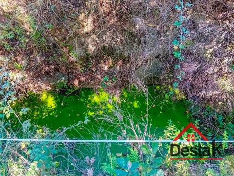 Terreno com 33.000 metros quadrados,  adjacente ao Rio Mondego no coração da Serra da Estrela