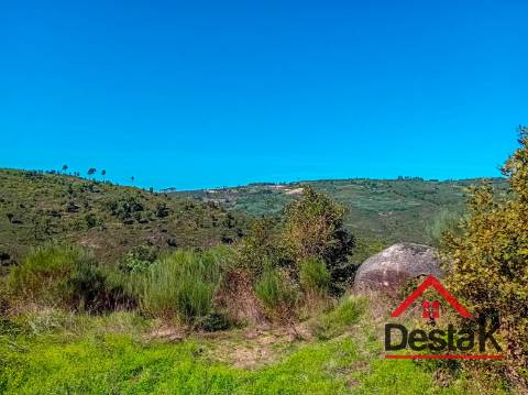 Terreno com 33.000 metros quadrados,  adjacente ao Rio Mondego no coração da Serra da Estrela