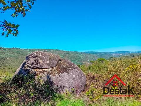 Terreno com 33.000 metros quadrados,  adjacente ao Rio Mondego no coração da Serra da Estrela