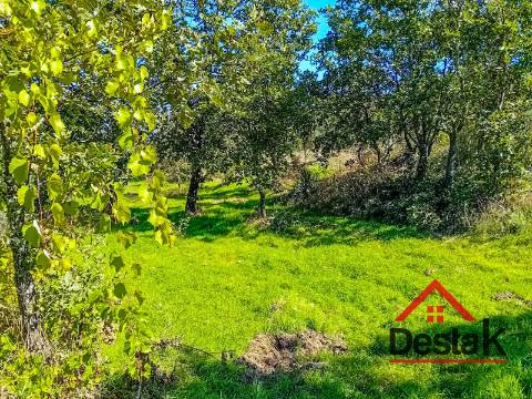 Terreno com 33.000 metros quadrados,  adjacente ao Rio Mondego no coração da Serra da Estrela