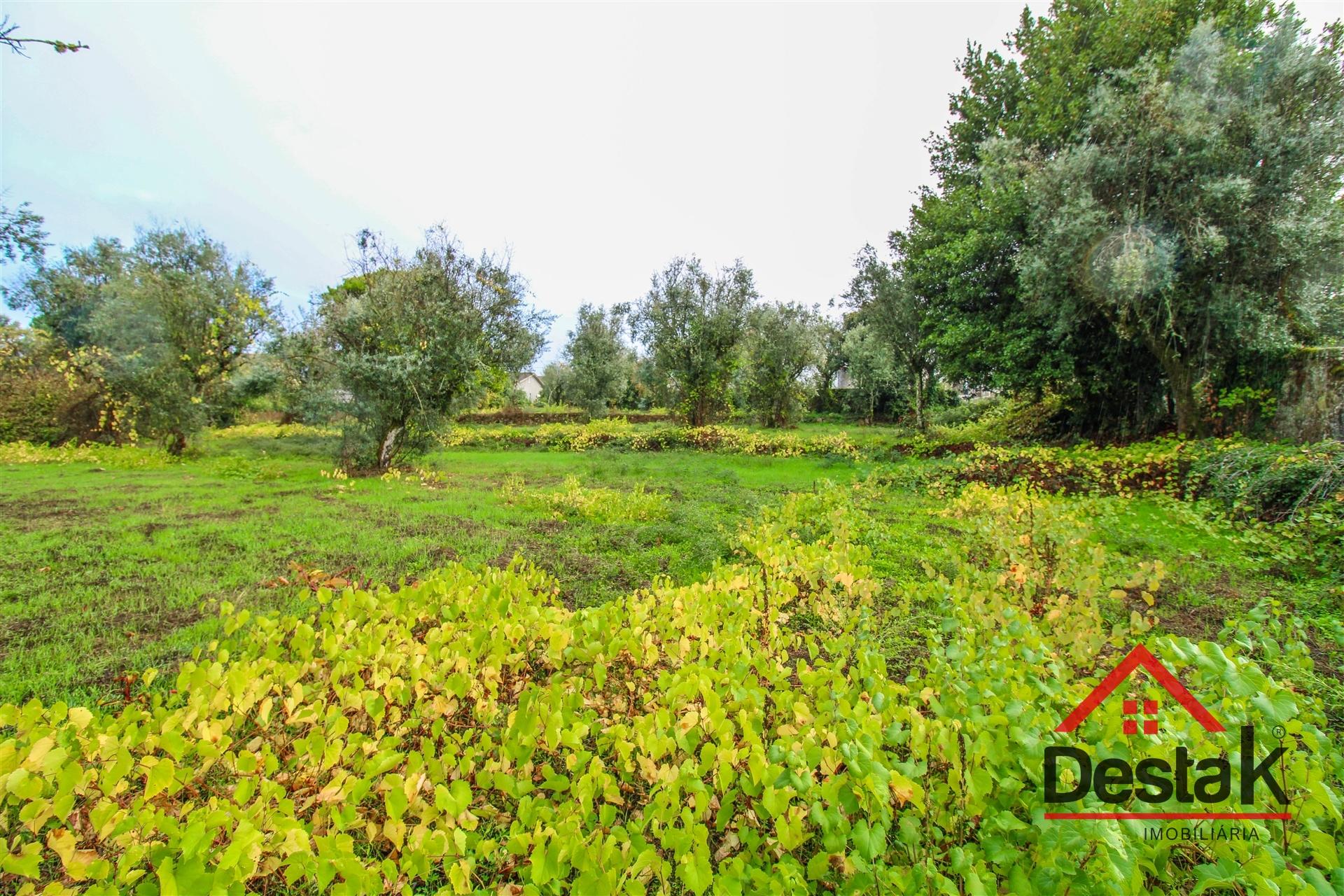 Terreno para venda com área de 2550m2 em Silgueiros, Viseu