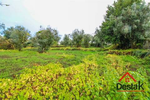 Terreno para venda com área de 2550m2 em Silgueiros, Viseu