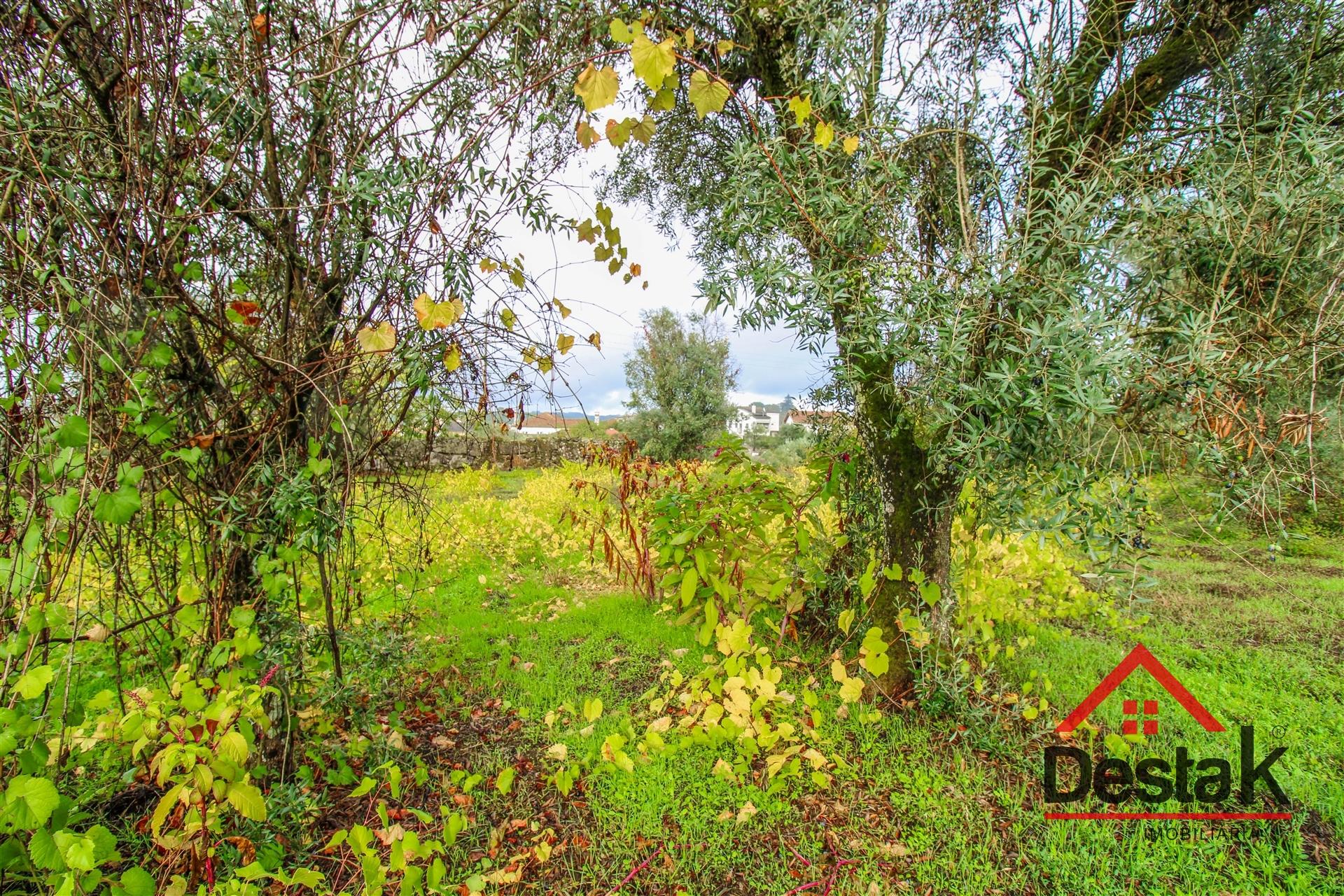 Terreno para venda com área de 2550m2 em Silgueiros, Viseu