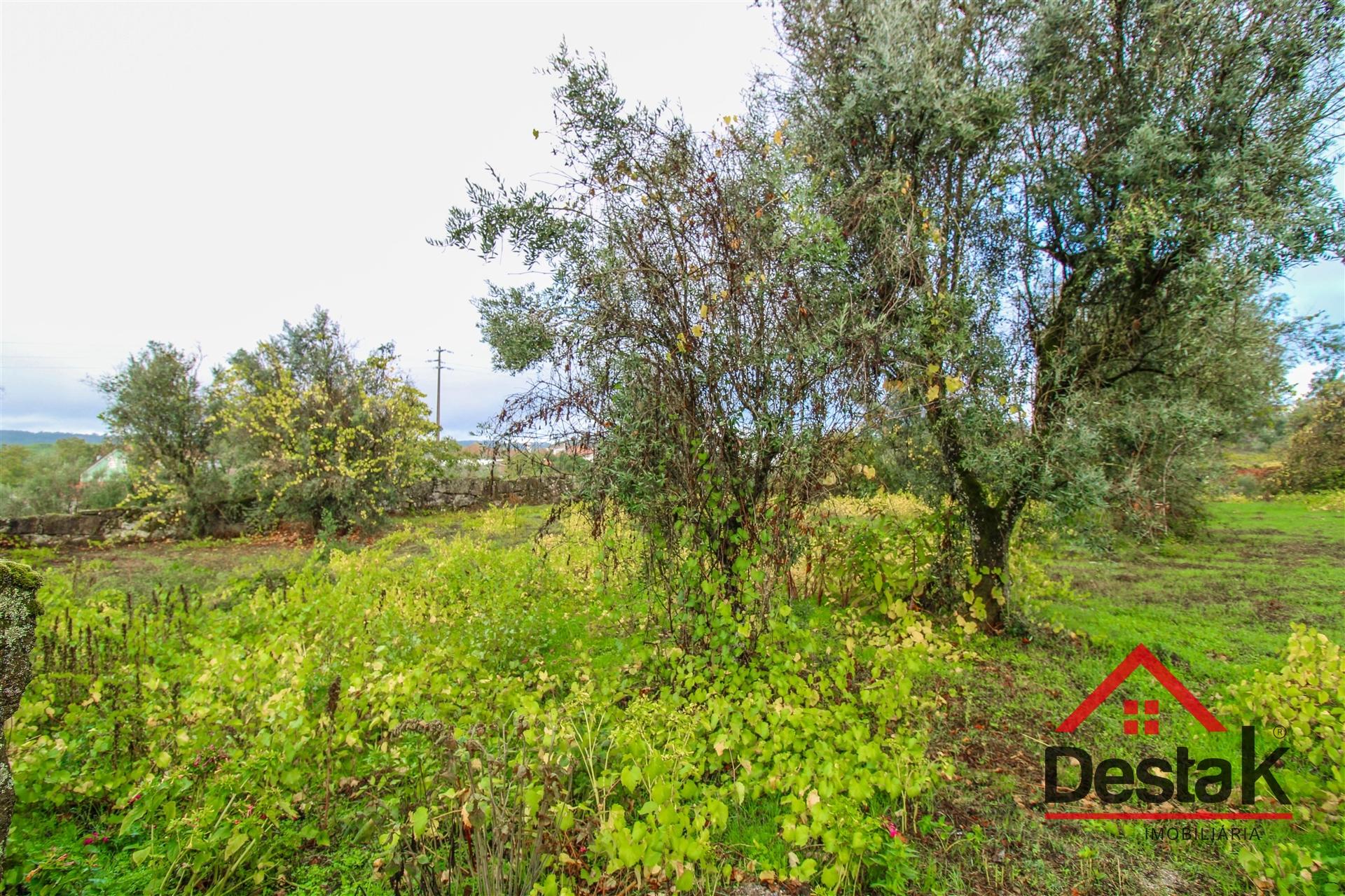 Terreno para venda com área de 2550m2 em Silgueiros, Viseu