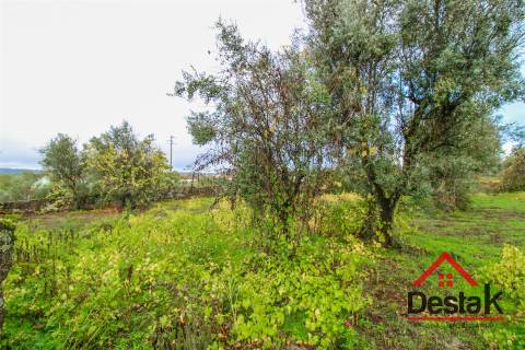 Terreno para venda com área de 2550m2 em Silgueiros, Viseu