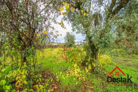 Terreno para venda com área de 2550m2 em Silgueiros, Viseu