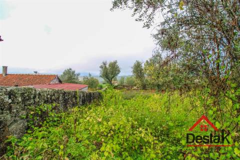 Terreno para venda com área de 2550m2 em Silgueiros, Viseu