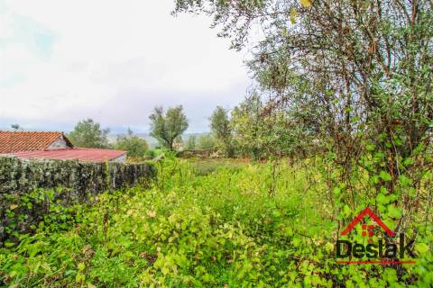 Terreno para venda com área de 2550m2 em Silgueiros, Viseu