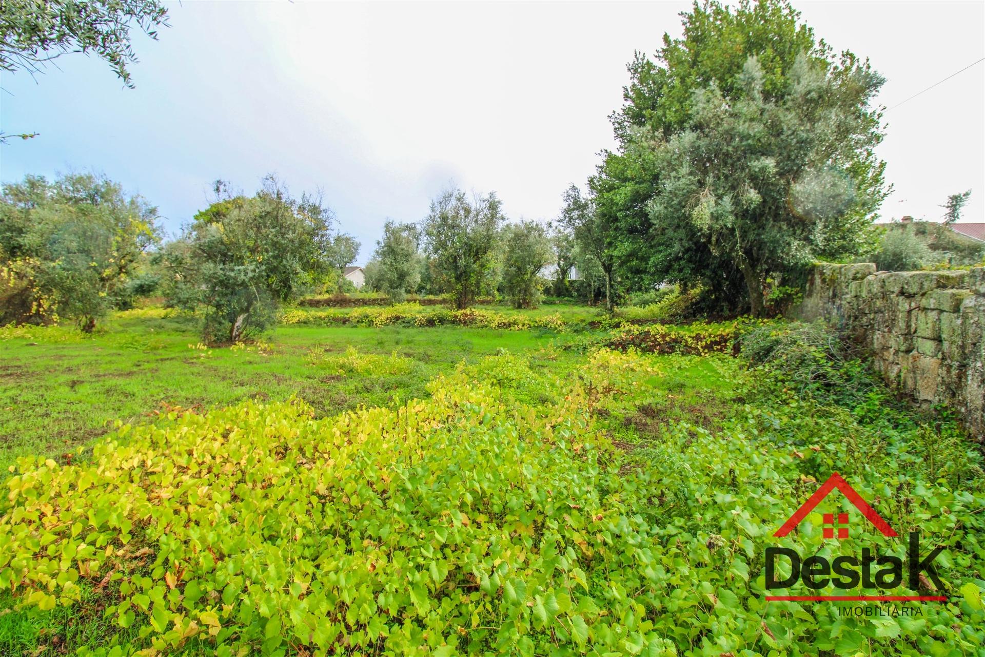 Terreno para venda com área de 2550m2 em Silgueiros, Viseu