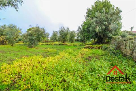 Terreno para venda com área de 2550m2 em Silgueiros, Viseu
