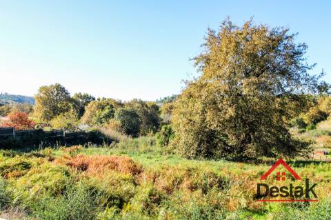 Terreno para Construção a 5 minutos do centro de Viseu