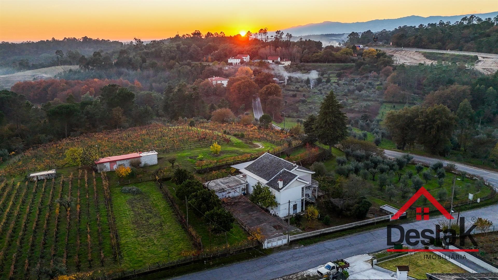 Quinta Encantadora em Parada de Gonta – 11.000 m² de Natureza, Produção e Potencial