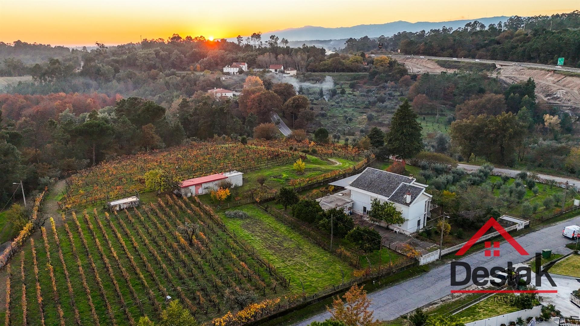 Quinta Encantadora em Parada de Gonta – 11.000 m² de Natureza, Produção e Potencial