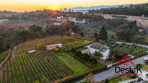 Quinta Encantadora em Parada de Gonta – 11.000 m² de Natureza, Produção e Potencial