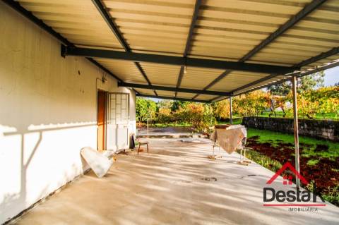 Quinta Encantadora em Parada de Gonta – 11.000 m² de Natureza, Produção e Potencial