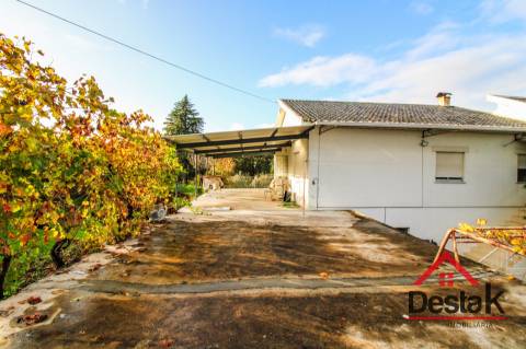 Quinta Encantadora em Parada de Gonta – 11.000 m² de Natureza, Produção e Potencial