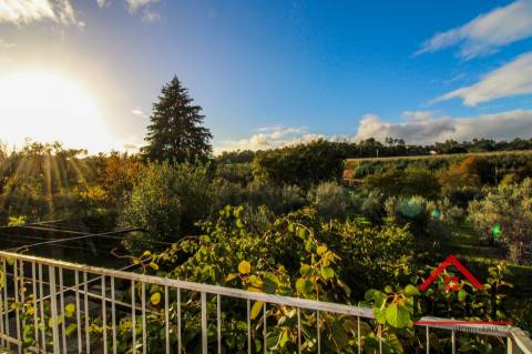 Quinta Encantadora em Parada de Gonta – 11.000 m² de Natureza, Produção e Potencial