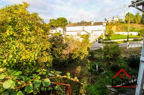 Quinta Encantadora em Parada de Gonta – 11.000 m² de Natureza, Produção e Potencial