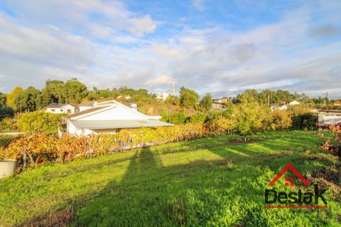 Quinta Encantadora em Parada de Gonta – 11.000 m² de Natureza, Produção e Potencial