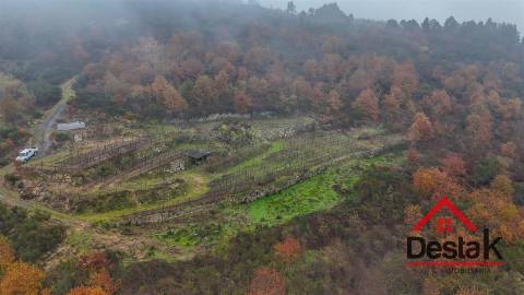 Terreno com vinha em Silgueiros, junto ao Rio Dão