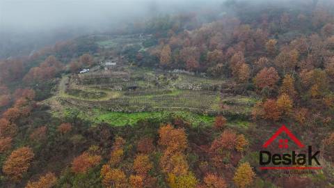 Terreno com vinha em Silgueiros, junto ao Rio Dão