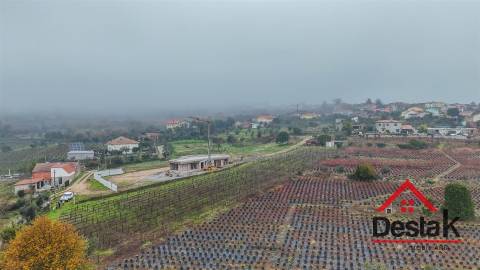 Terreno em Silgueiros com cerca de 5.000 m² junto à Quinta do Perdigão