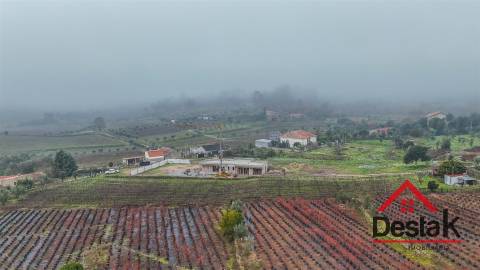 Terreno em Silgueiros com cerca de 5.000 m² junto à Quinta do Perdigão