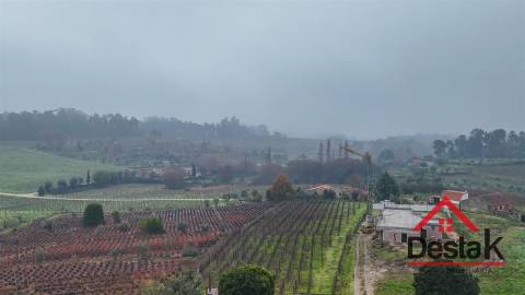 Terreno em Silgueiros com cerca de 5.000 m² junto à Quinta do Perdigão