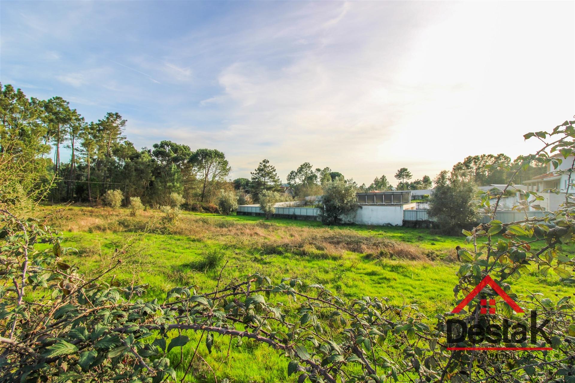 Lote terreno para construção com 1800 m2 em Repeses