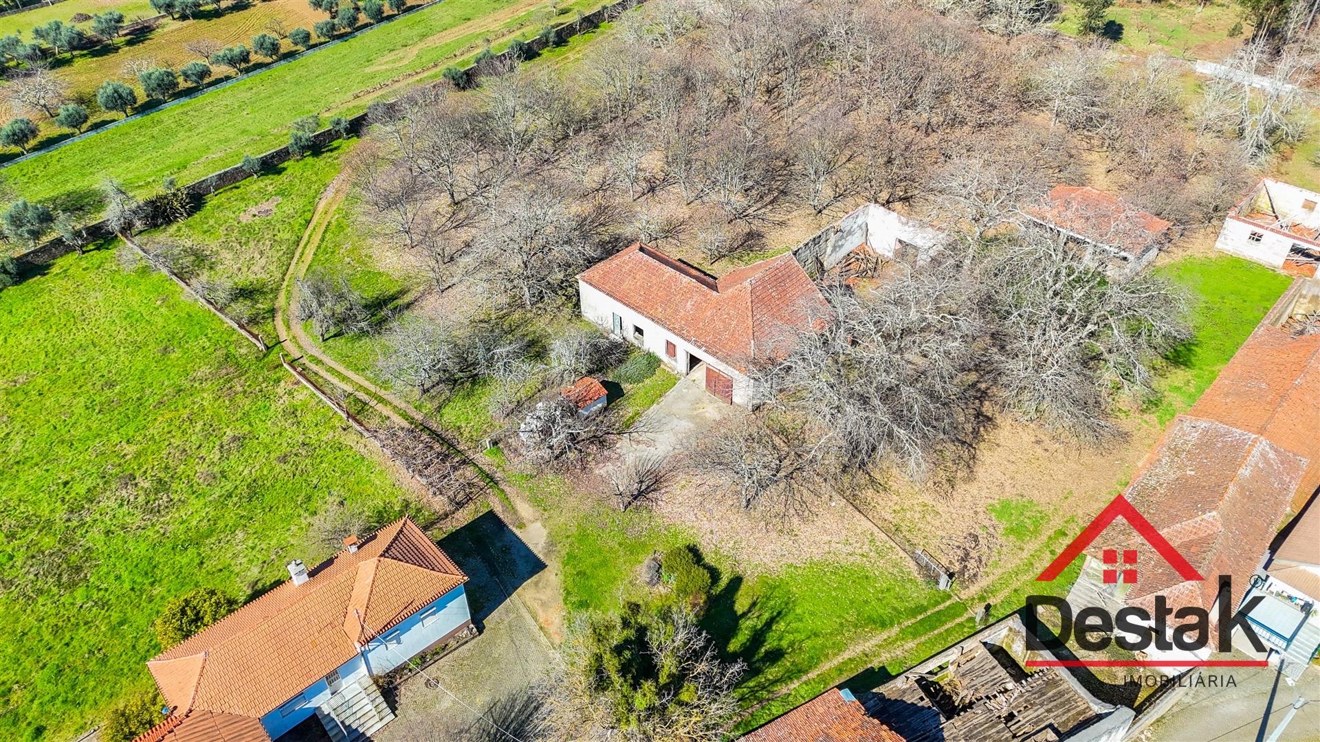 Quinta T6 com 10.500m² de terreno para venda no Sátão