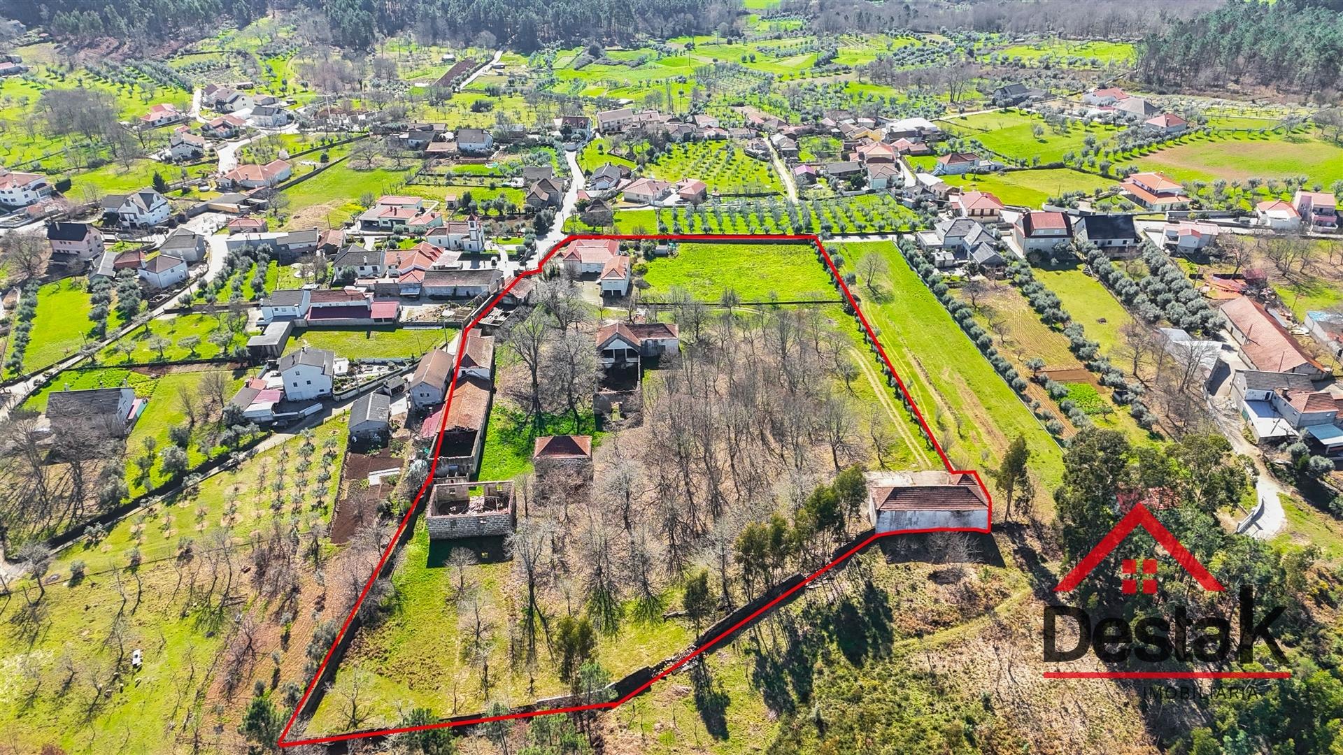 Quinta T6 com 10.500m² de terreno para venda no Sátão