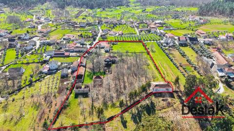 Quinta T6 com 10.500m² de terreno para venda no Sátão